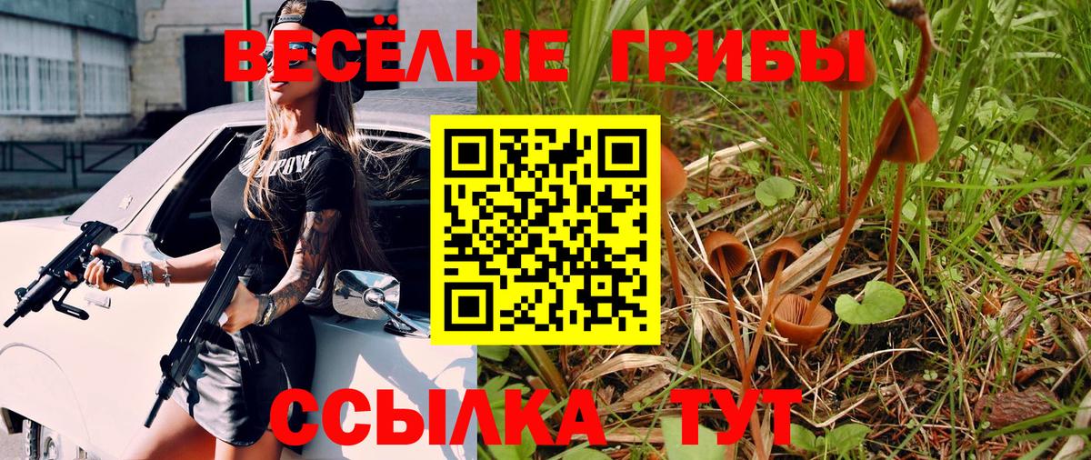 Галлюциногенные грибы Psilocybine cubensis Выкса
